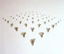 pour tout savoir et voir sur