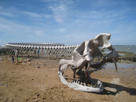 serpent d'ocan : Huang Yong Ping - cration prenne estuaire 2012 - photo Daniele Sicard