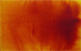   Philippe Caurant : sans titre, huile et rsine sur toile, 50 x 65cm