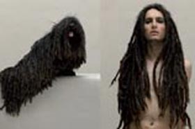 Love in the hair  -  Sabine Pigalle