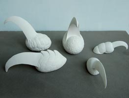  Sun Xue -  griffes bllanches