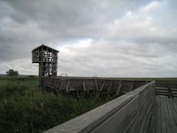 © Tadashi Kawamata - L'observatoire