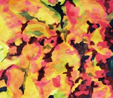  Zhonggli Jin - nergie vgtale